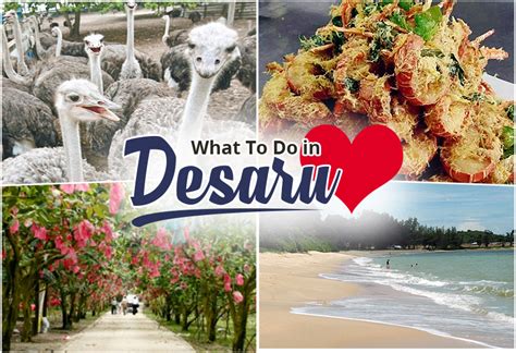 what to do in desaru malaysia.